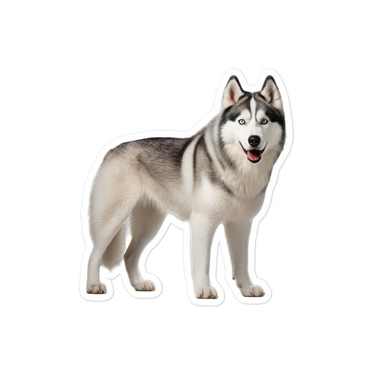 Siberian Husky Sticker - Stickerfy.ai