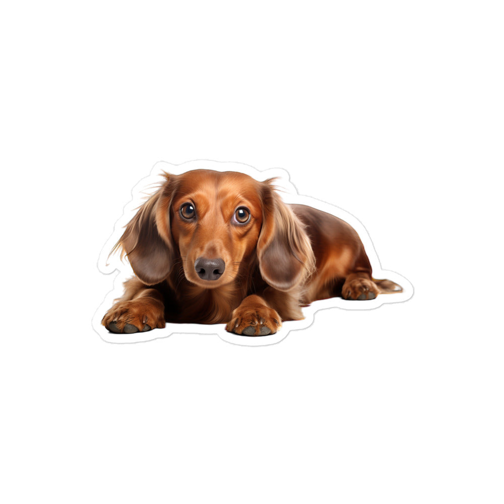 Dachshunds Sticker - Stickerfy.ai