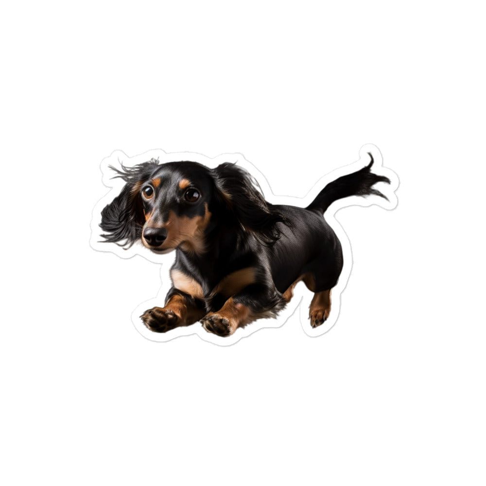Dachshunds Sticker - Stickerfy.ai