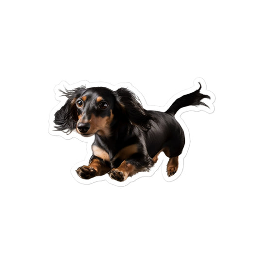 Dachshunds Sticker - Stickerfy.ai