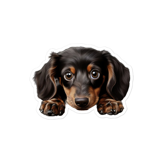 Dachshunds Sticker - Stickerfy.ai