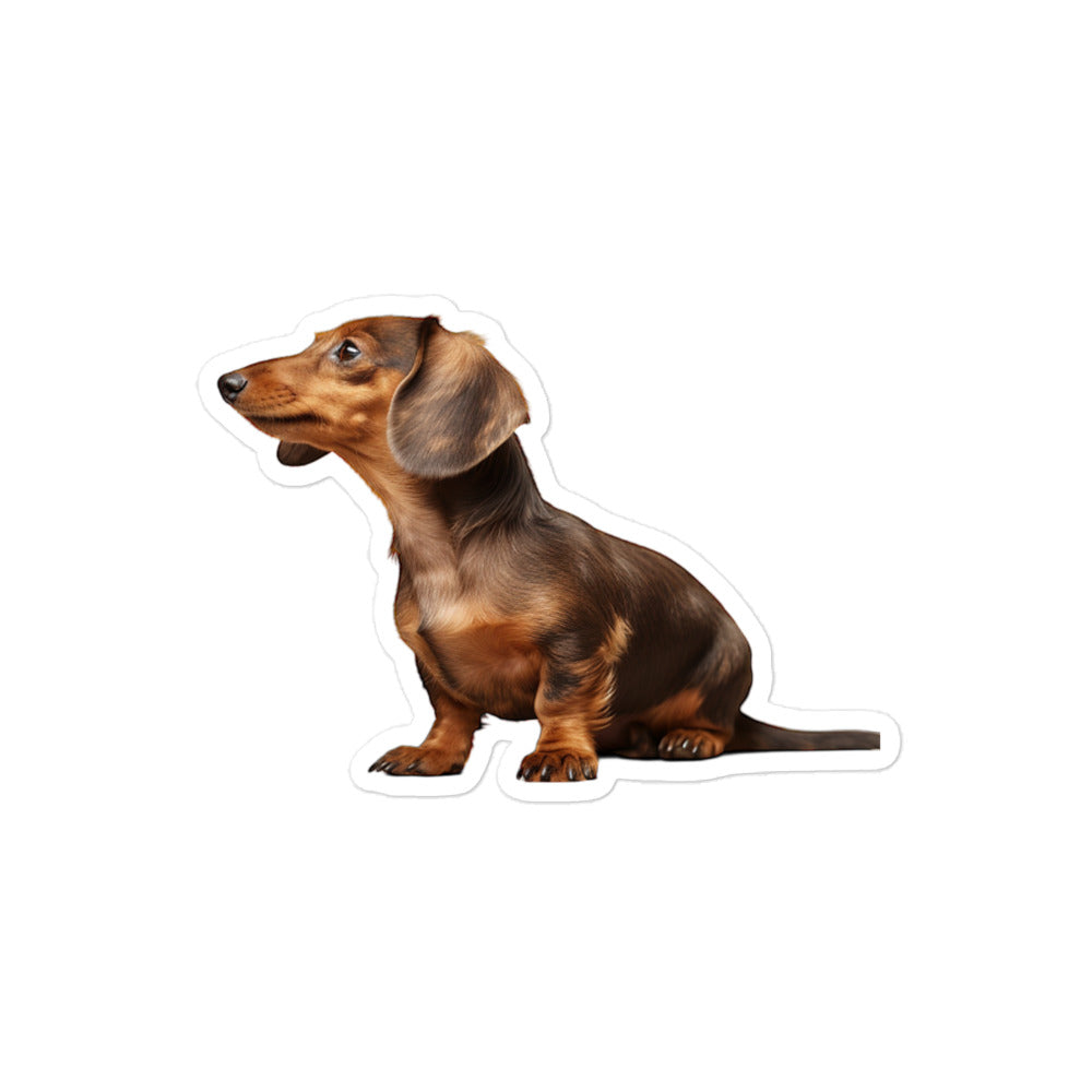 Dachshunds Sticker - Stickerfy.ai
