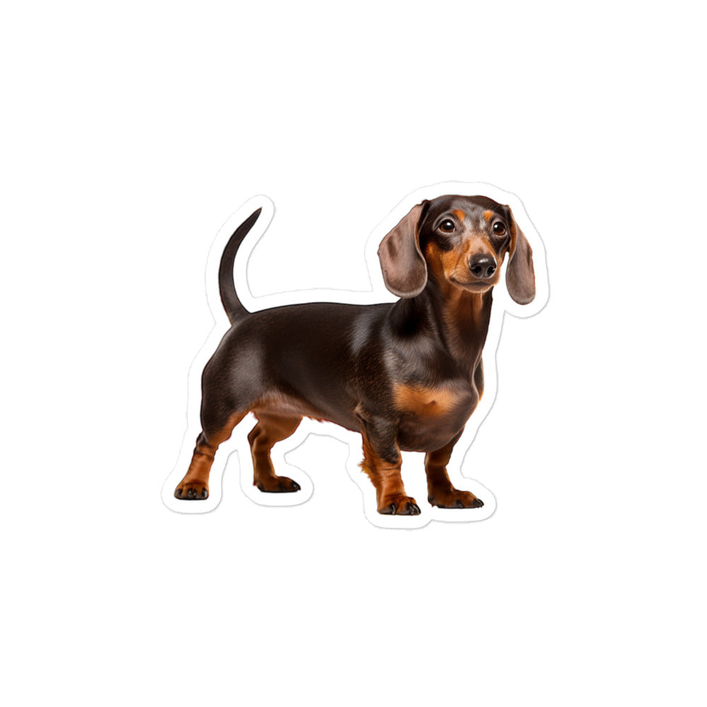 Dachshunds Sticker - Stickerfy.ai