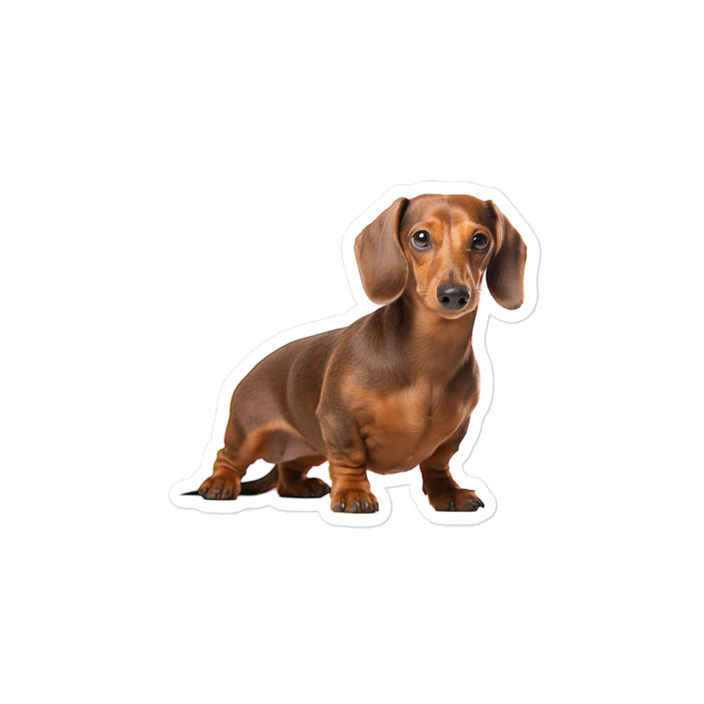 Dachshunds Sticker - Stickerfy.ai