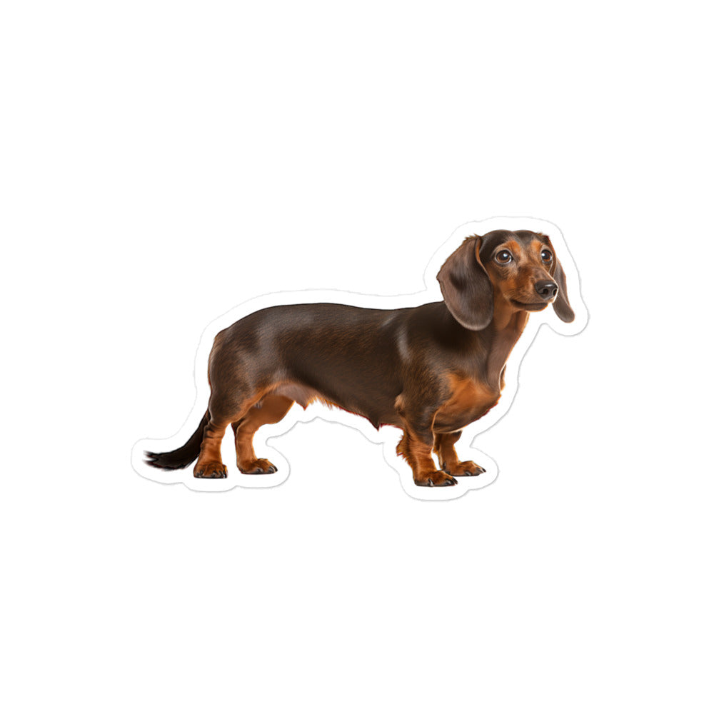 Dachshunds Sticker - Stickerfy.ai
