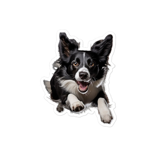 Border Collie Sticker - Stickerfy.ai