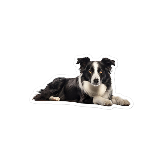Border Collie Sticker - Stickerfy.ai