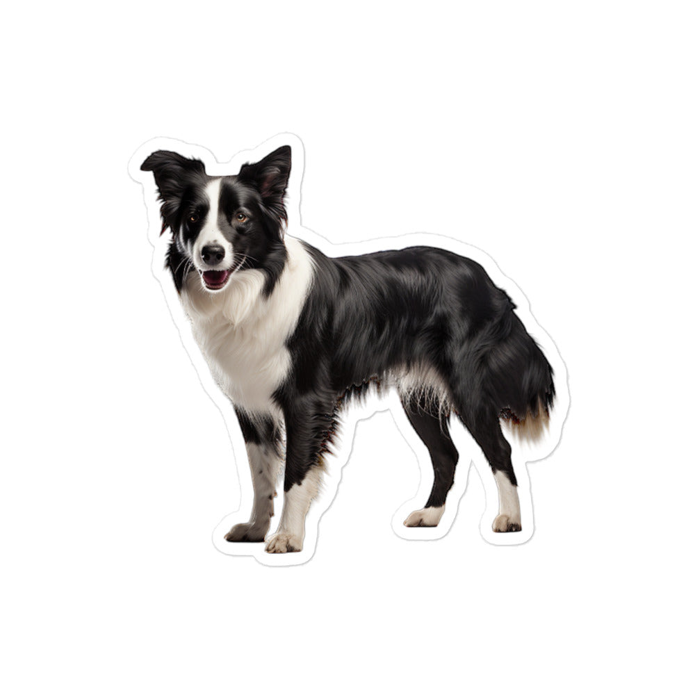 Border Collie Sticker - Stickerfy.ai