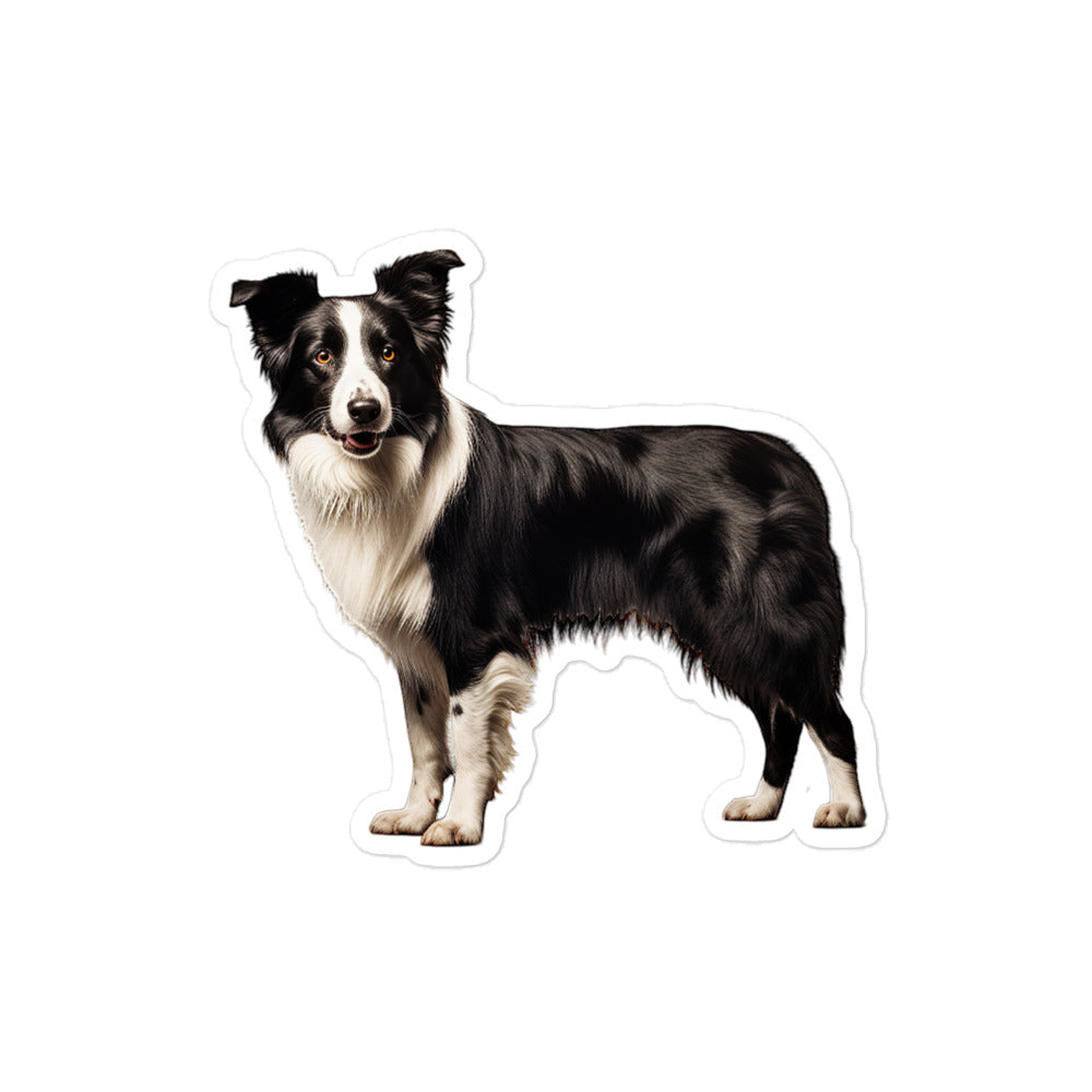 Border Collie Sticker - Stickerfy.ai