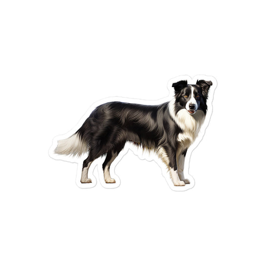 Border Collie Sticker - Stickerfy.ai