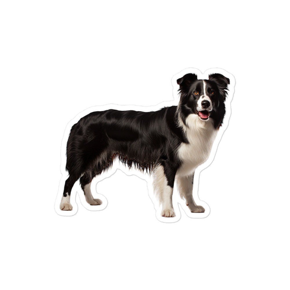 Border Collie Sticker - Stickerfy.ai