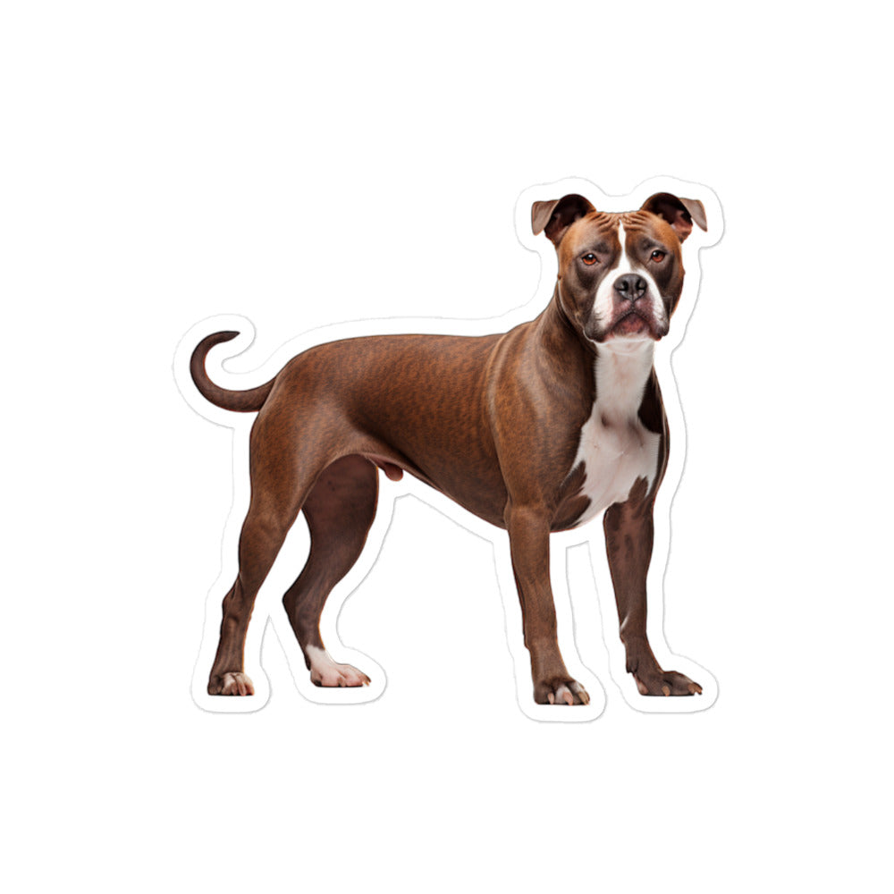 American Staffordshire Terrier Sticker - Stickerfy.ai