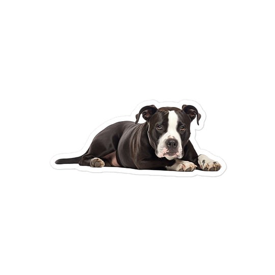 American Staffordshire Terrier Sticker - Stickerfy.ai