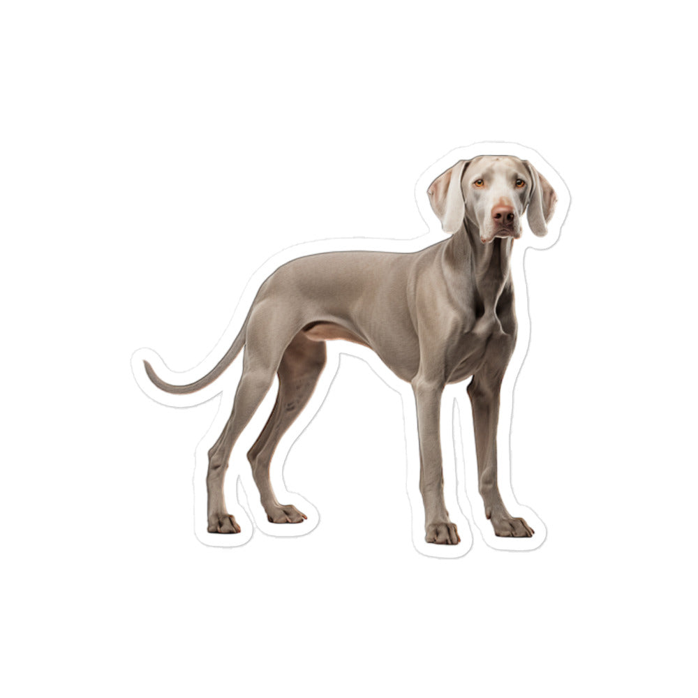 Weimaraner Sticker - Stickerfy.ai