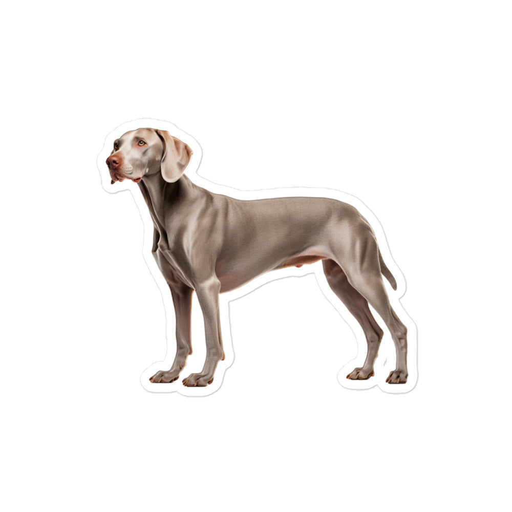 Weimaraner Sticker - Stickerfy.ai
