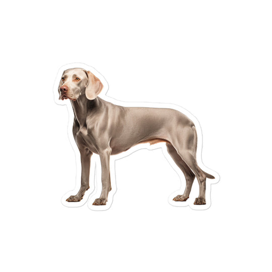 Weimaraner Sticker - Stickerfy.ai