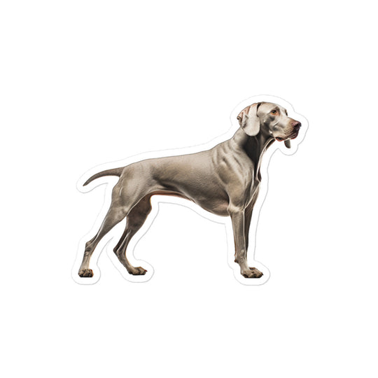 Weimaraner Sticker - Stickerfy.ai