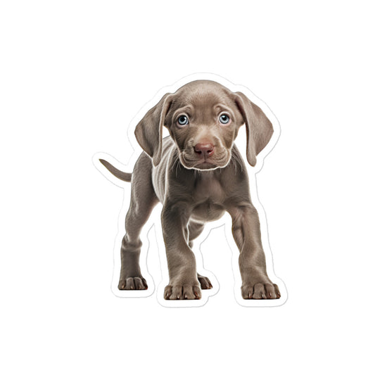 Weimaraner Sticker - Stickerfy.ai