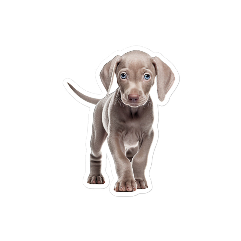 Weimaraner Sticker - Stickerfy.ai