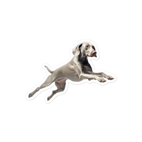 Weimaraner Sticker - Stickerfy.ai