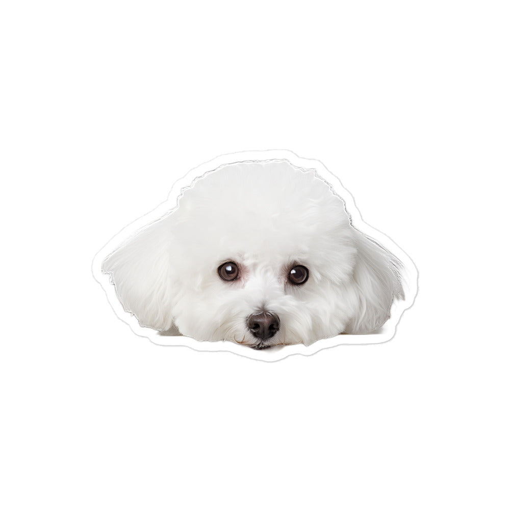Bichon Frise Sticker - Stickerfy.ai