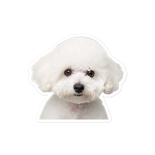 Bichon Frise Sticker - Stickerfy.ai