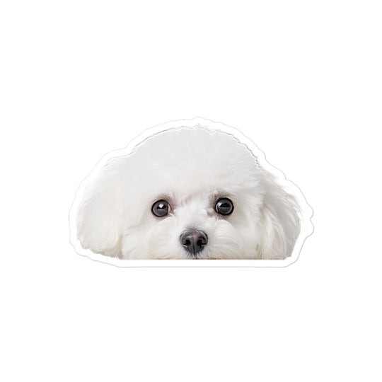 Bichon Frise Sticker - Stickerfy.ai