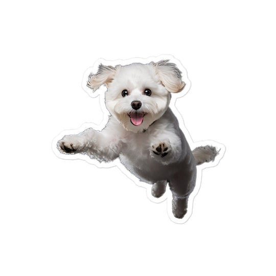 Bichon Frise Sticker - Stickerfy.ai