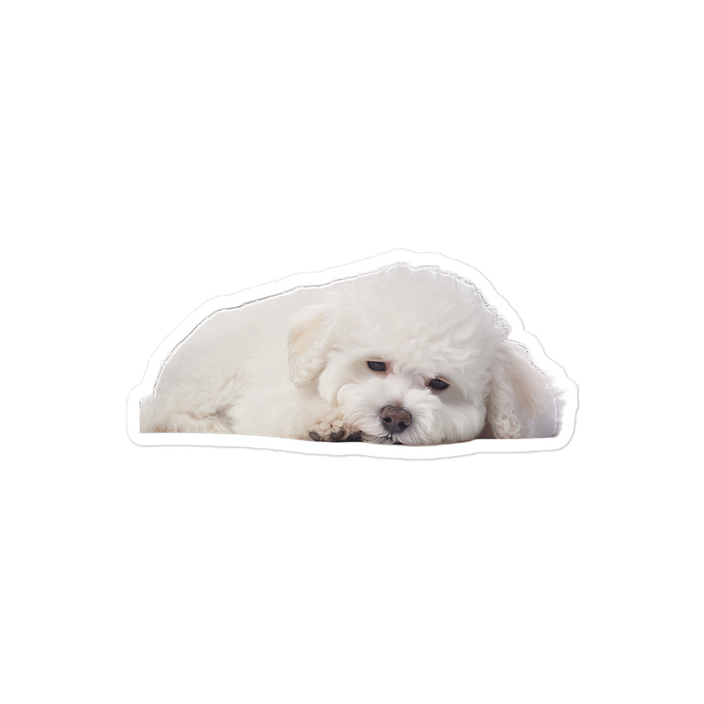 Bichon Frise Sticker - Stickerfy.ai