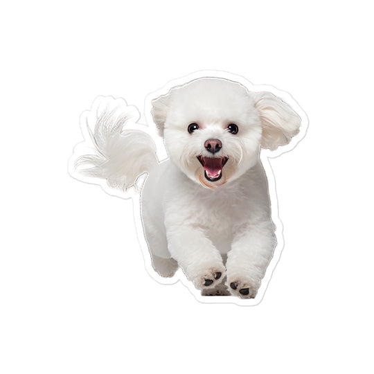Bichon Frise Sticker - Stickerfy.ai