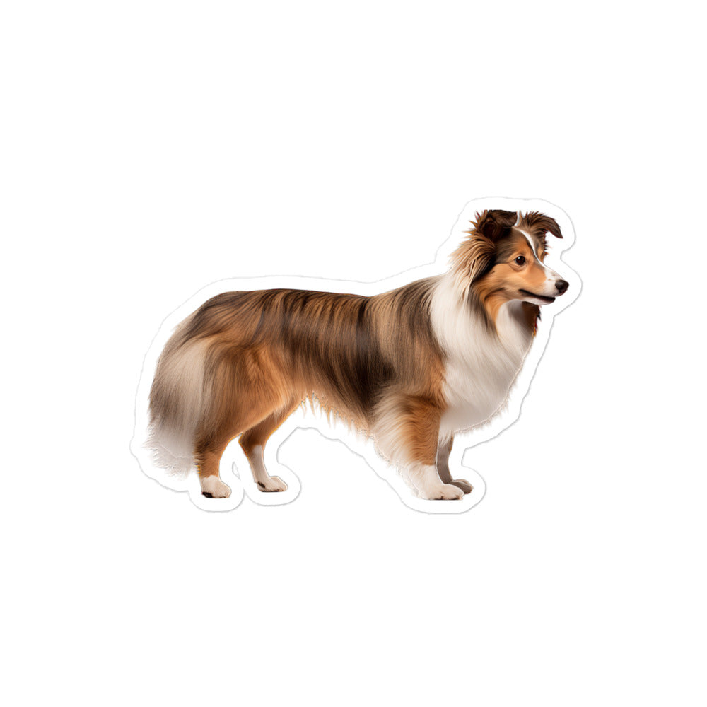 Shetland Sheepdog Sticker - Stickerfy.ai