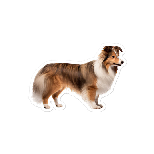 Shetland Sheepdog Sticker - Stickerfy.ai