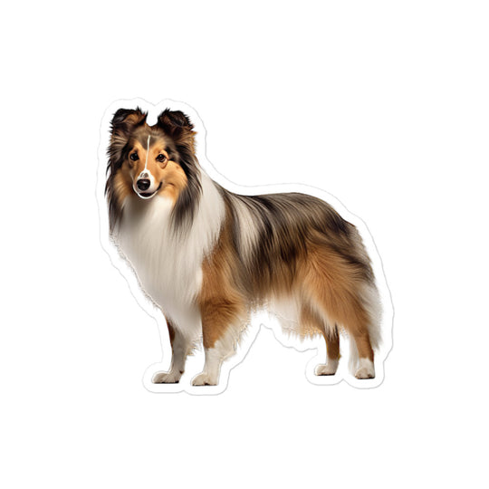 Shetland Sheepdog Sticker - Stickerfy.ai