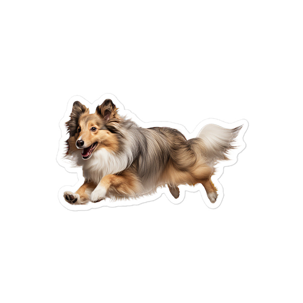 Shetland Sheepdog Sticker - Stickerfy.ai