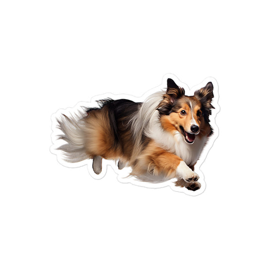 Shetland Sheepdog Sticker - Stickerfy.ai