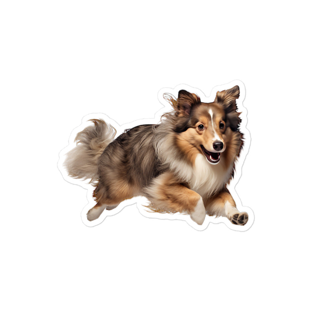 Shetland Sheepdog Sticker - Stickerfy.ai