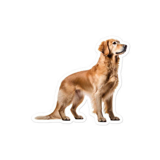 Golden Retriever Sticker - Stickerfy.ai