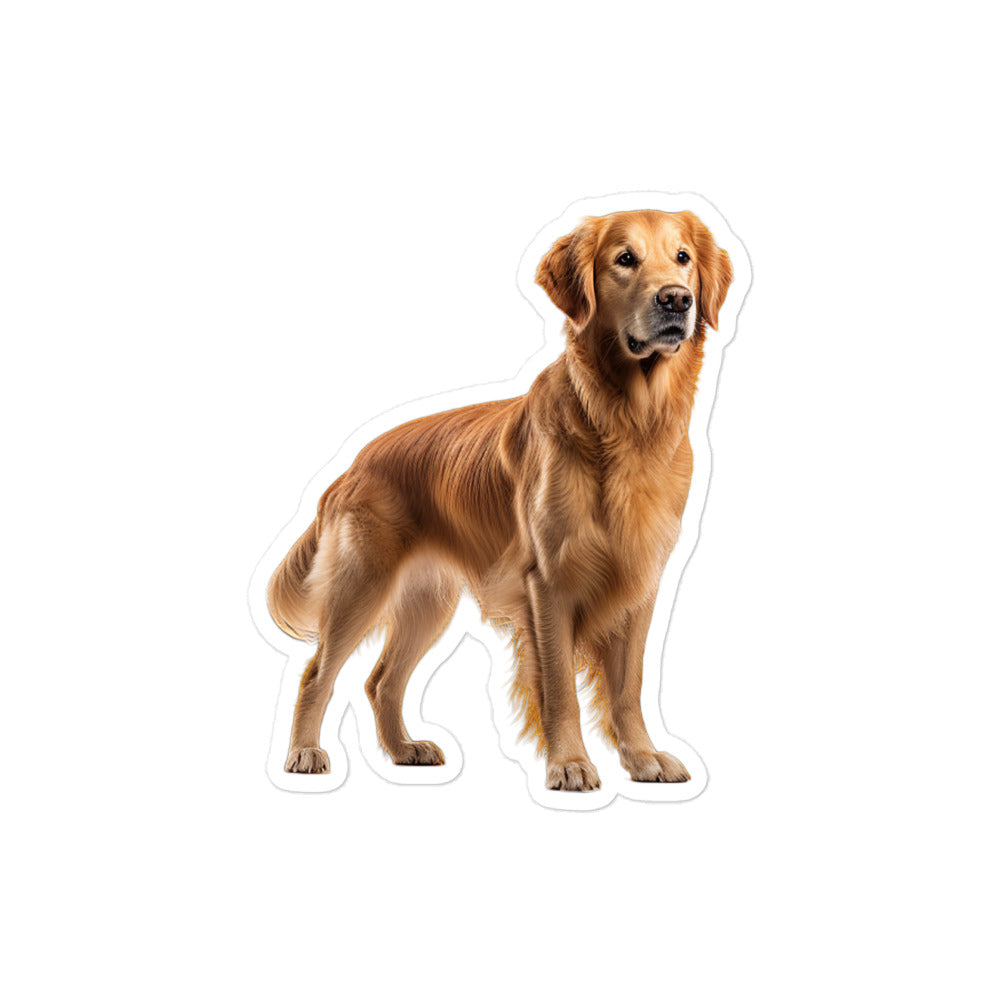 Golden Retriever Sticker - Stickerfy.ai