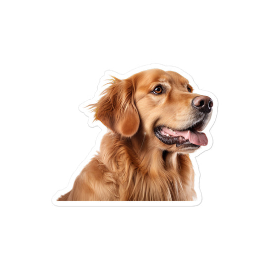 Golden Retriever Sticker - Stickerfy.ai