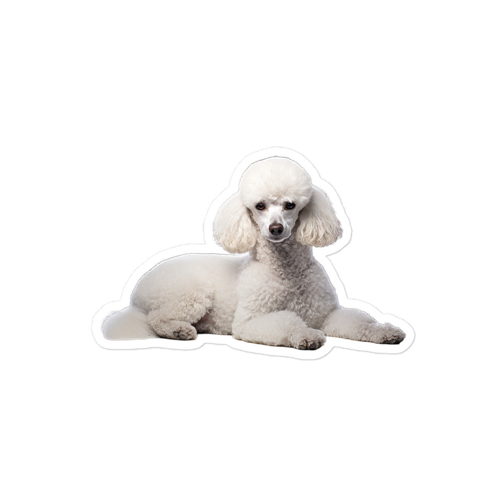 Poodle Sticker - Stickerfy.ai