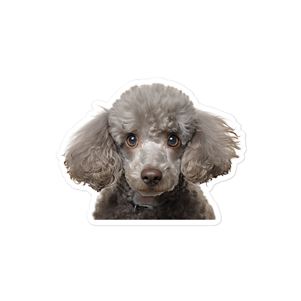 Poodle Sticker - Stickerfy.ai