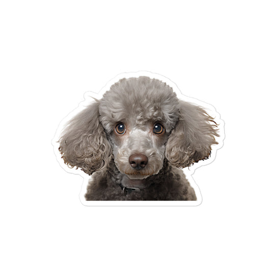 Poodle Sticker - Stickerfy.ai