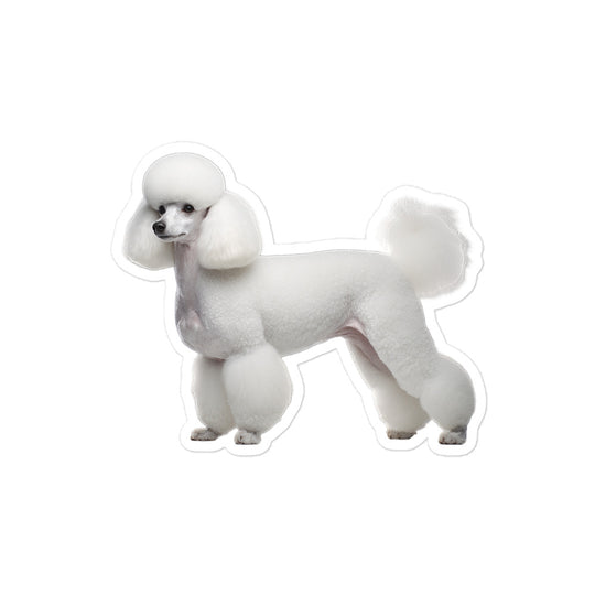 Poodle Sticker - Stickerfy.ai