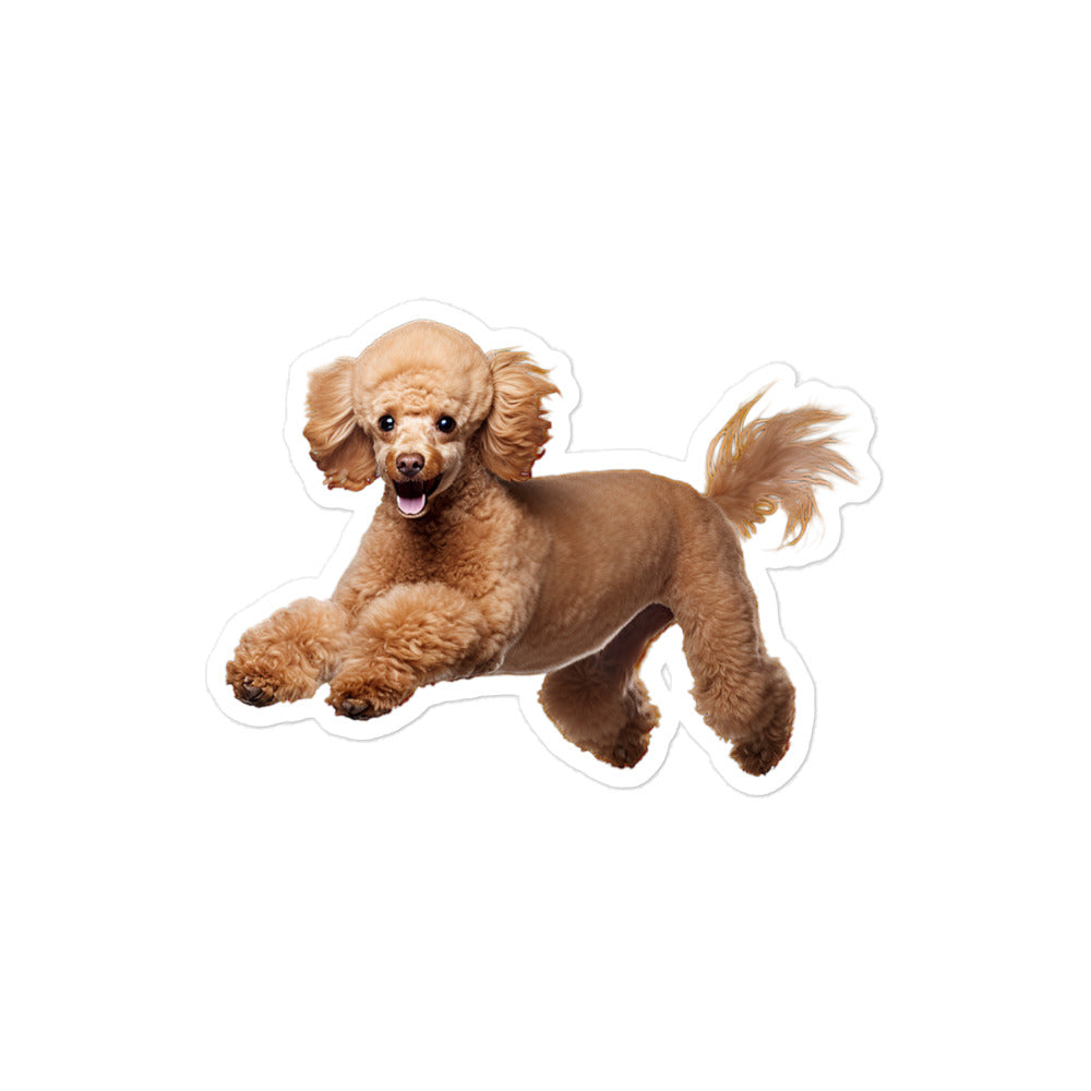 Poodle Sticker - Stickerfy.ai