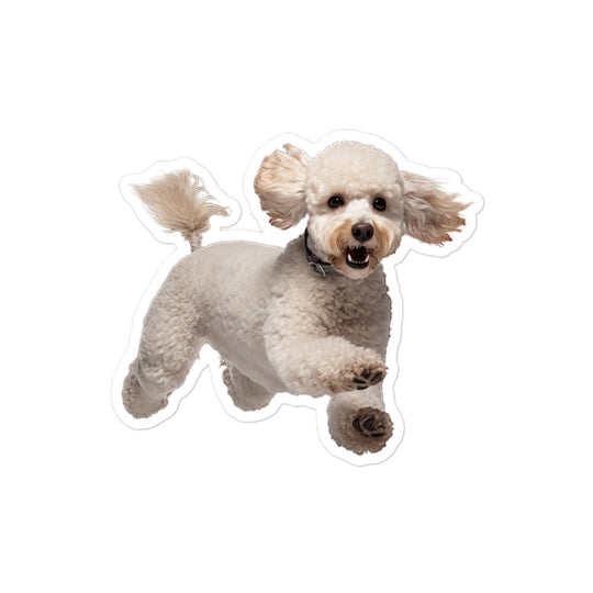 Poodle Sticker - Stickerfy.ai