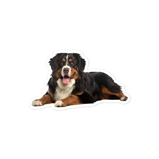 Bernese Mountain Dog Sticker - Stickerfy.ai