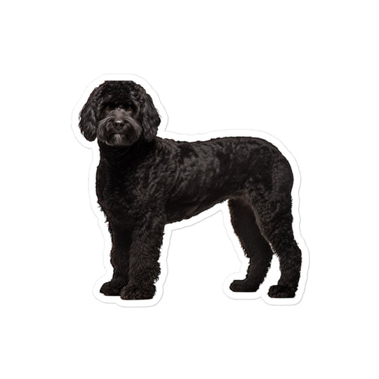 Portuguese Water Dog Sticker - Stickerfy.ai