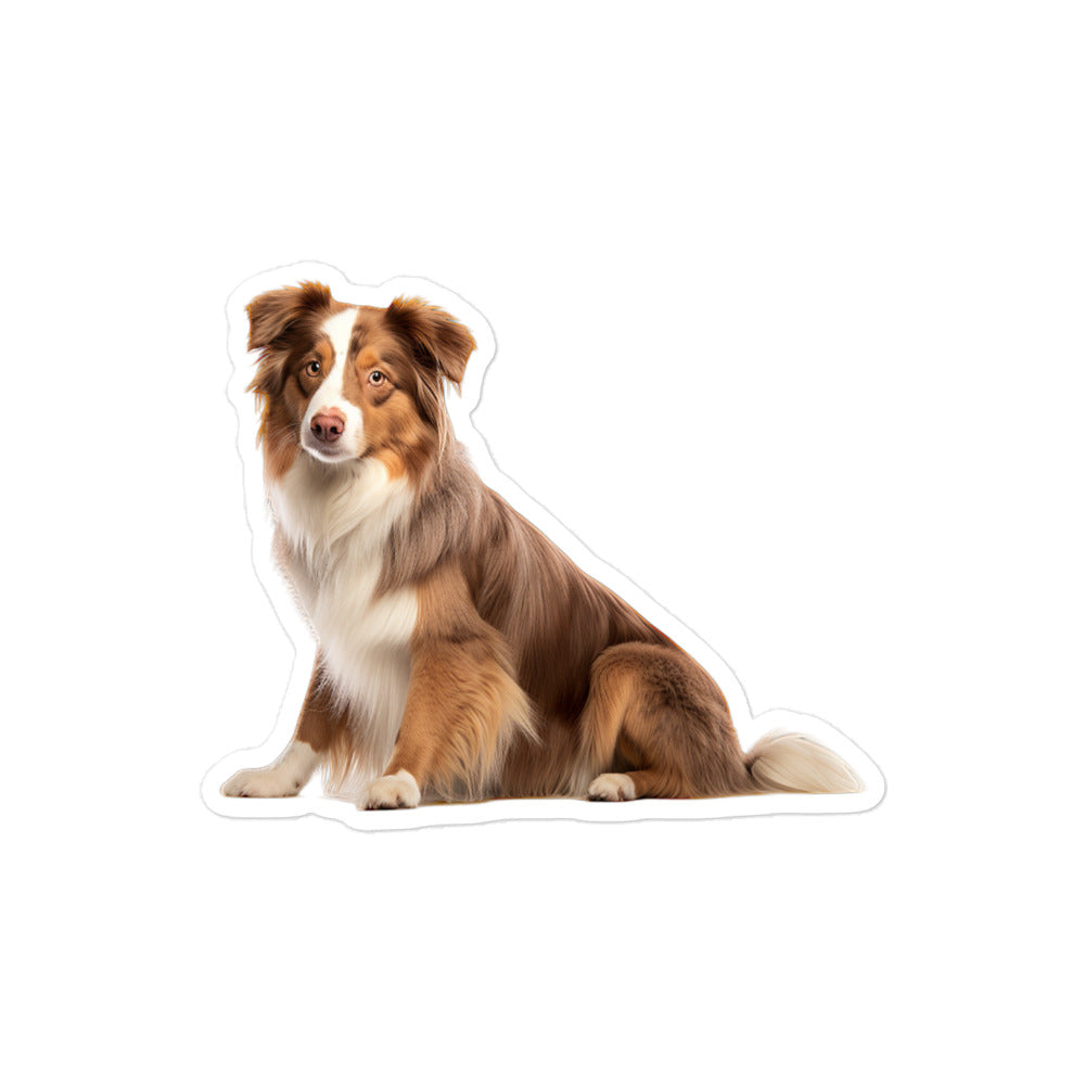 Australian Shepherd Sticker - Stickerfy.ai