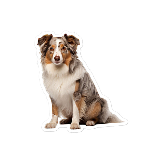 Australian Shepherd Sticker - Stickerfy.ai