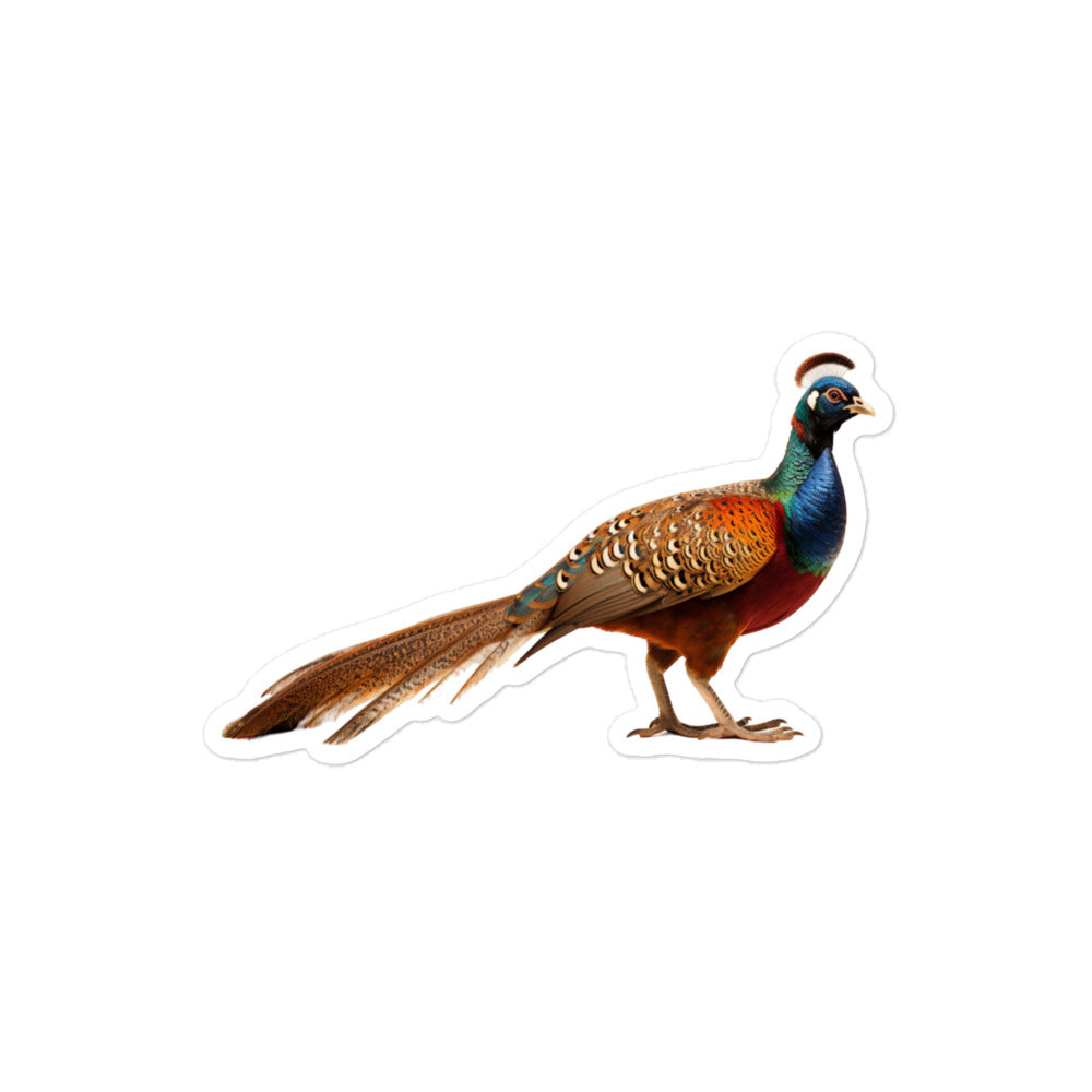 Ring Necked Pheasant Sticker - Stickerfy.ai